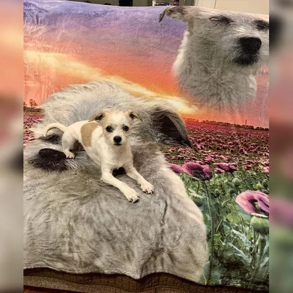 Custom Pet Art Fleece Blanket