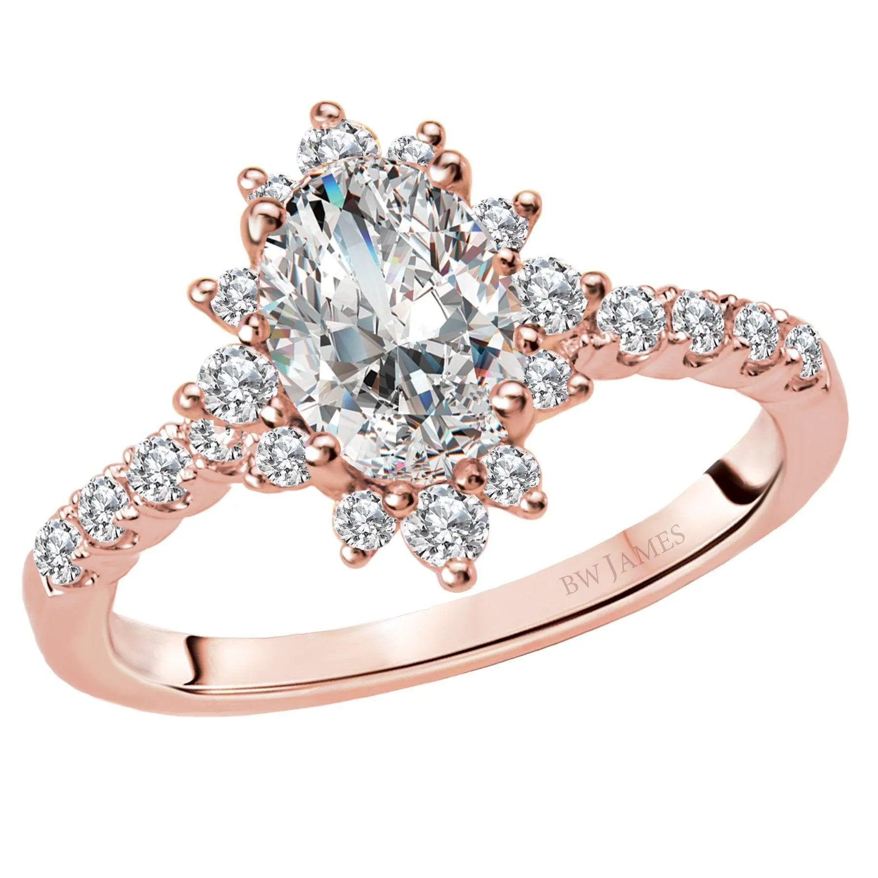 " The Argentina" Halo Semi-Mount Diamond Ring