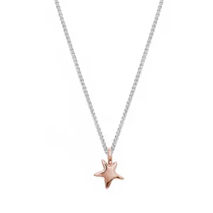 Stardust Solid Silver & Rose Gold Necklace